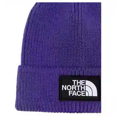 The North Face Logo Beanie Purple