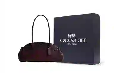 COACH Empire Carryall 34