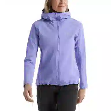 Arcteryx Gamma Hoody