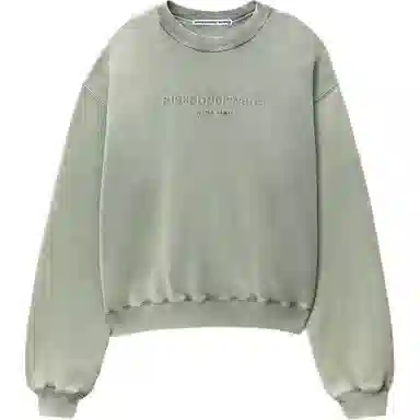 Alexander Wang Acid Wash Green Sweatshirt