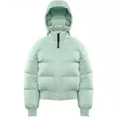 ARITZIA Super Puff Bomber