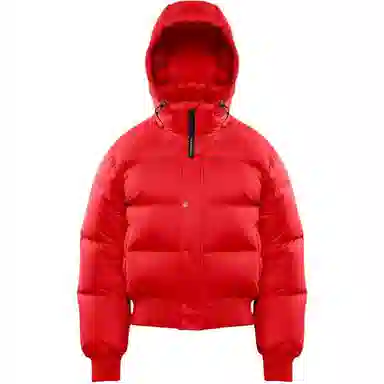 ARITZIA Super Puff Bomber