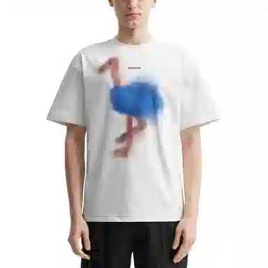 ADER ERROR T
