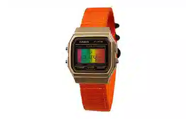 CASIO 10 F-91WM-9A