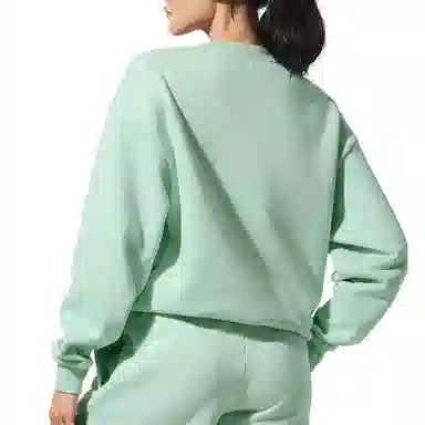 Alo Yoga Accolade Crew Neck Pullover