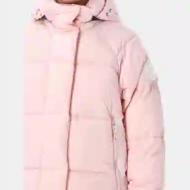 Canada Goose Junction