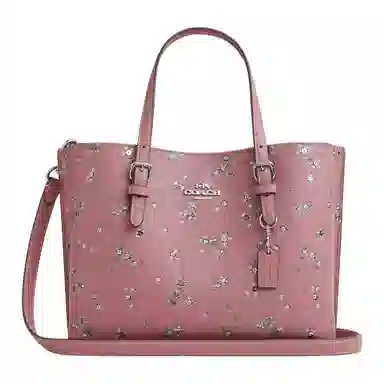 COACH Mollie Tote Bag