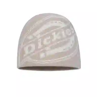 Dickies Beanie