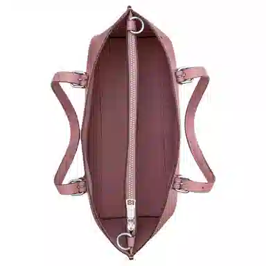 COACH Mollie Tote Bag