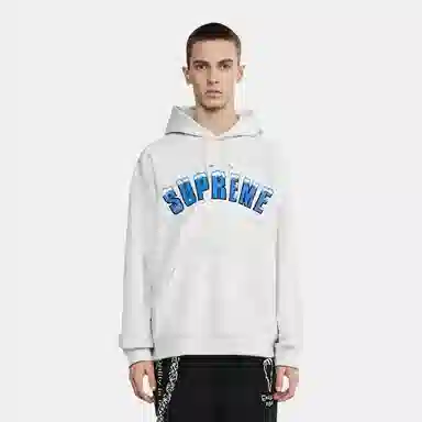 Supreme Icy Arc Hooded Sweatshirt