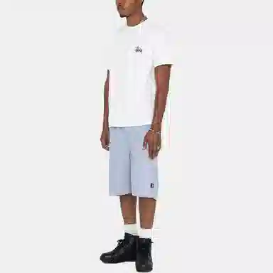 Stussy SS22 Brushed Beach Short