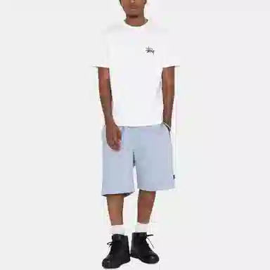 Stussy SS22 Brushed Beach Short