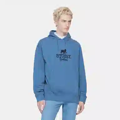 Stussy FW24 Sportswear Hoodie