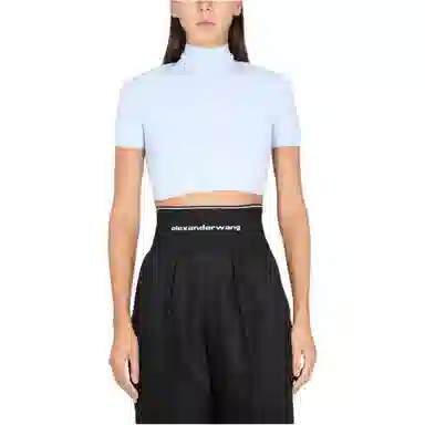 alexander wang T