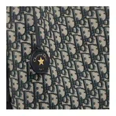 DIOR Diorstar Oblique