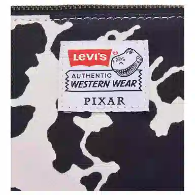levis x Toy Story
