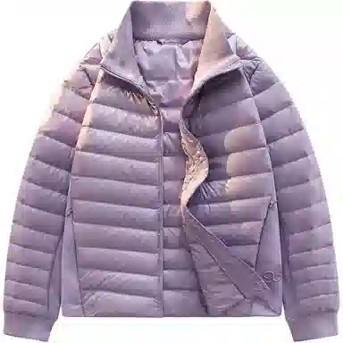 鸭鸭 轻薄系列 休闲立领保暖亲肤羽绒服 女款