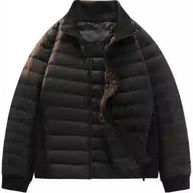 鸭鸭 轻薄系列 休闲立领保暖亲肤羽绒服 女款