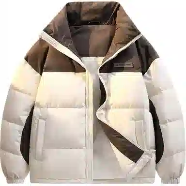 鸭鸭 立领拼色休闲短款羽绒服 男款