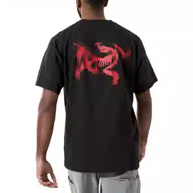 Arcteryx Kragg SL LogoT