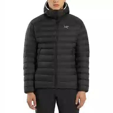 Arcteryx Cerium SV Hoody