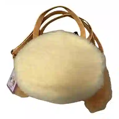 Disney 2024cookie Ann