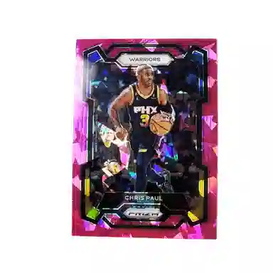 PANINI CP3