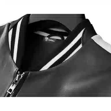 Automobili Lamborghini logo