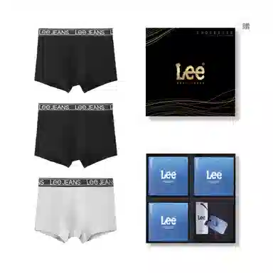 Lee 3