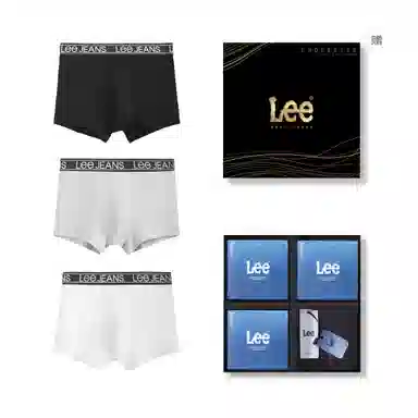 Lee 3