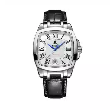 ERNEST BOREL COSC 37mm GS1856S-E251BK