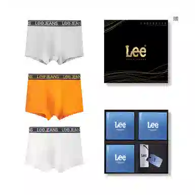 Lee 3