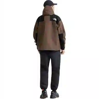 THE NORTH FACE Mountain logo