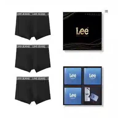 Lee 3
