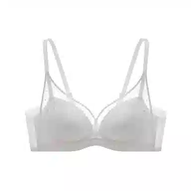 曼妮芬 植物花卉网纱小胸聚拢舒适收副乳文胸 女款