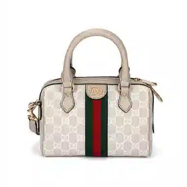 Gucci Ophidia Mini