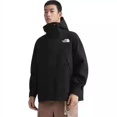 THE NORTH FACE Mountain logo