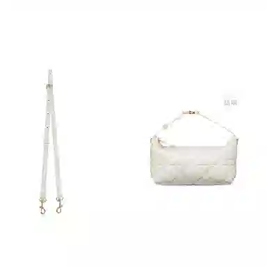 diorTravel Nomad Oblique