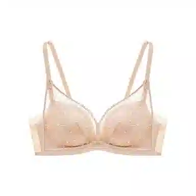 曼妮芬 植物花卉网纱小胸聚拢舒适收副乳文胸 女款