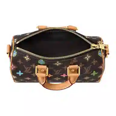 LOUIS VUITTON x Tyler keepall 25