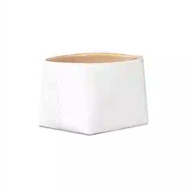 FANJI Celine Triomphe