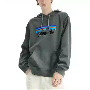 Patagonia Logo Hoodie