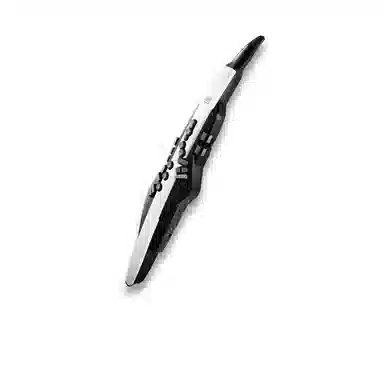 Roland AE20AE-20W Aerophone