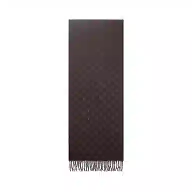 Louis Vuitton Wool Scarf Hazelnut