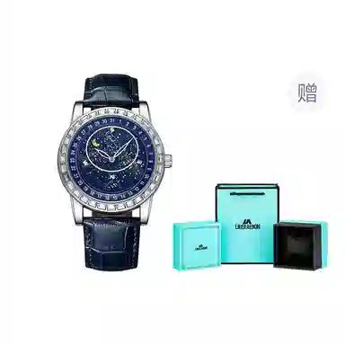 LIBER AEDON Men's Watch