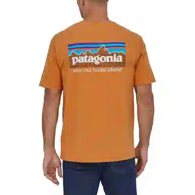 patagonia Men's '73 Skyline Organic T-Shirt LogoT
