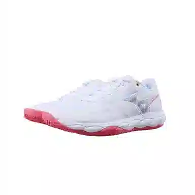 Mizuno Wave Enforce Court