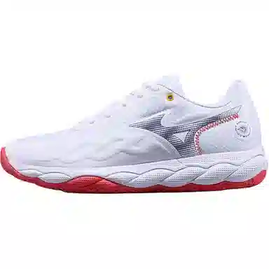 Mizuno Wave Enforce Court