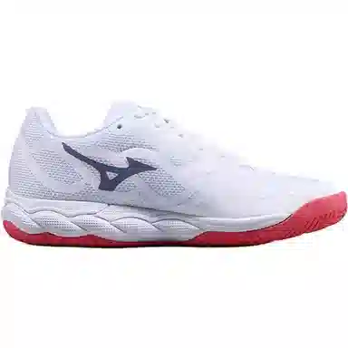 Mizuno Wave Enforce Court