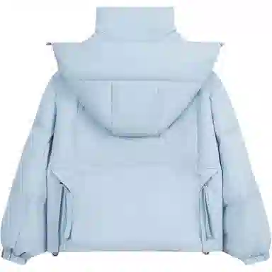 鸭鸭 短款时尚都市秋冬款小个子宽松保暖连帽鸭绒羽绒服 女款